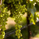 Vinte-quinta Da Boavista Prázdninový dům