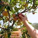 度假居 Vinte-quinta Da Boavista
