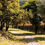 Vinte-quinta Da Boavista * 蓬德利马