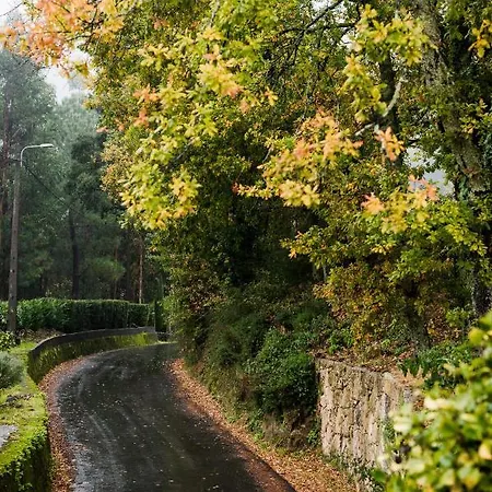 Vinte-quinta Da Boavista * Ponte de Lima