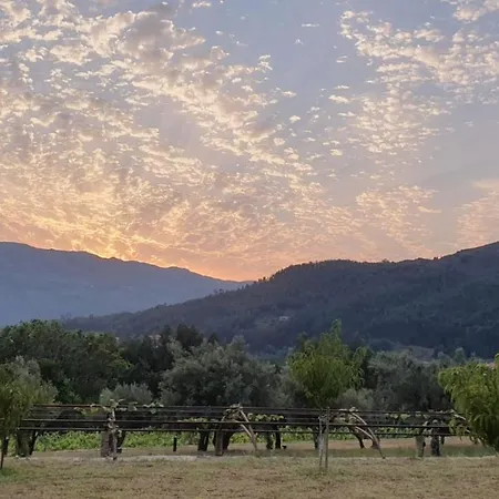 Vinte-quinta Da Boavista