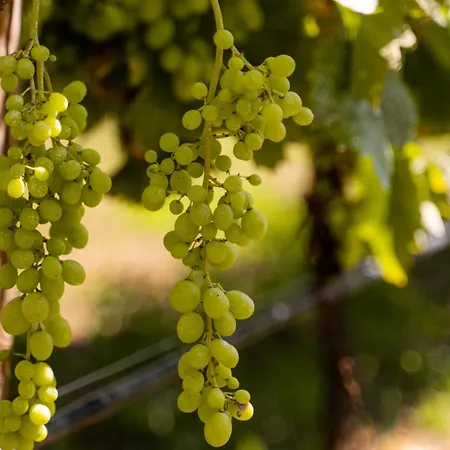 Vinte-quinta Da Boavista Prázdninový dům