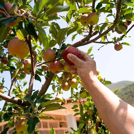 בית נופש Vinte-quinta Da Boavista