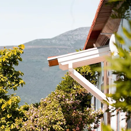 Vinte-quinta Da Boavista *