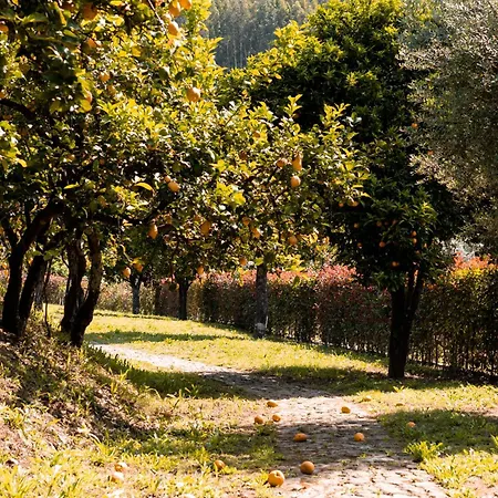 Vinte-quinta Da Boavista * Ponte de Lima