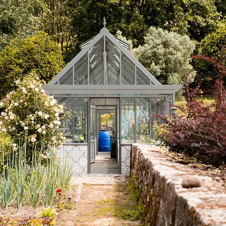 Vinte-quinta Da Boavista Ponte de Lima