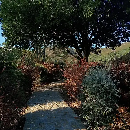 Vinte-quinta Da Boavista Nyaraló