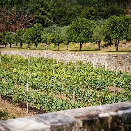 Сasa de vacaciones Vinte-quinta Da Boavista *