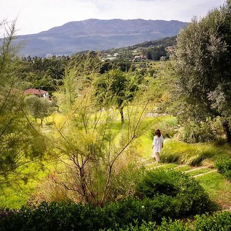 Vinte-quinta Da Boavista * Ponte de Lima