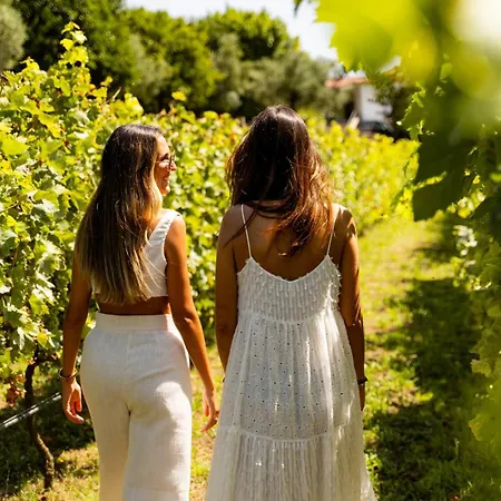 Prázdninový dům Vinte-quinta Da Boavista Ponte de Lima