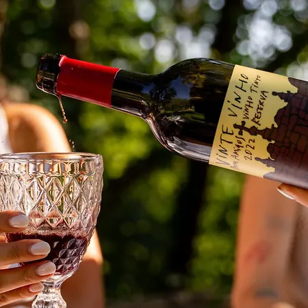 Vinte-quinta Da Boavista בית נופש פונטה דה לימה