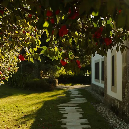 Vinte-quinta Da Boavista Feriehus