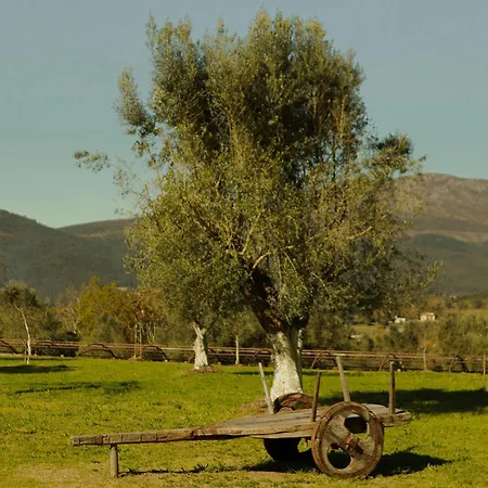 Vinte-quinta Da Boavista *