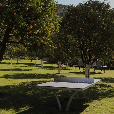 Vinte-quinta Da Boavista Ponte de Lima
