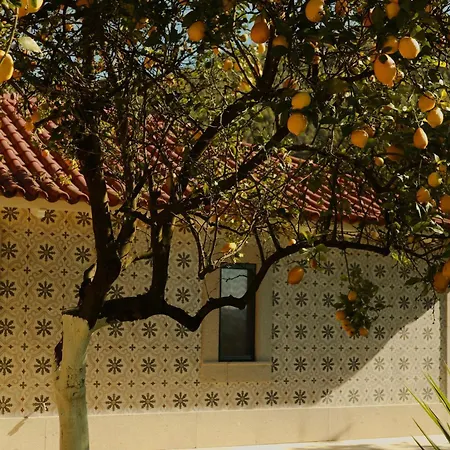 Vinte-quinta Da Boavista 別荘