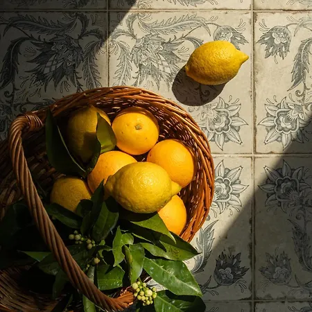 Vinte-quinta Da Boavista