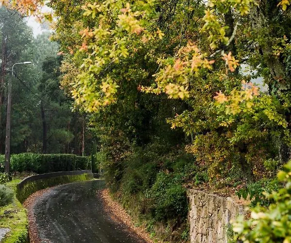 Vinte-quinta Da Boavista * Ponte de Lima