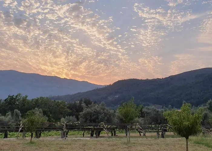 Vinte-quinta Da Boavista