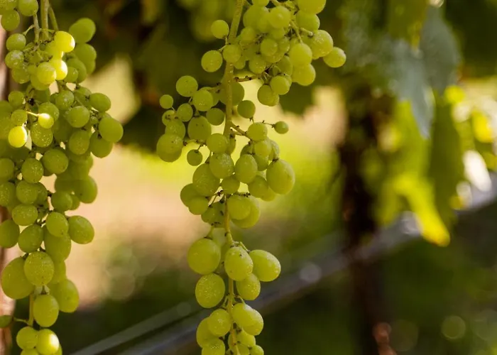 Vinte-quinta Da Boavista Holiday home