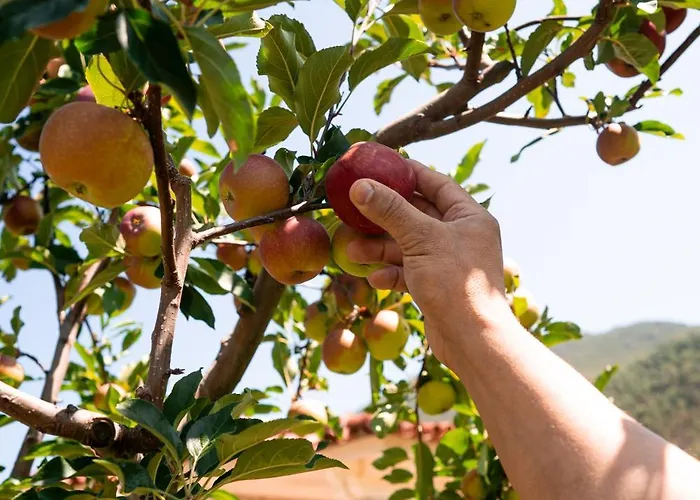 度假居 Vinte-quinta Da Boavista