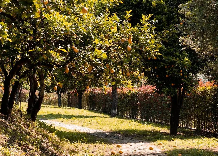 Vinte-quinta Da Boavista * Ponte de Lima