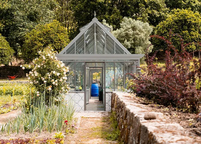 Vinte-quinta Da Boavista Ponte de Lima