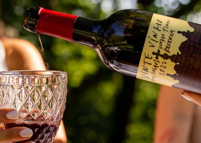 Vinte-quinta Da Boavista Vakantiehuis Ponte de Lima