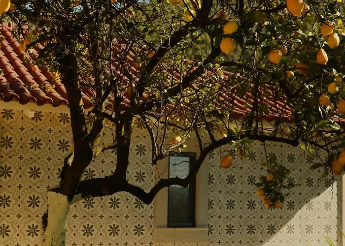 Vinte-quinta Da Boavista Ferienhaus