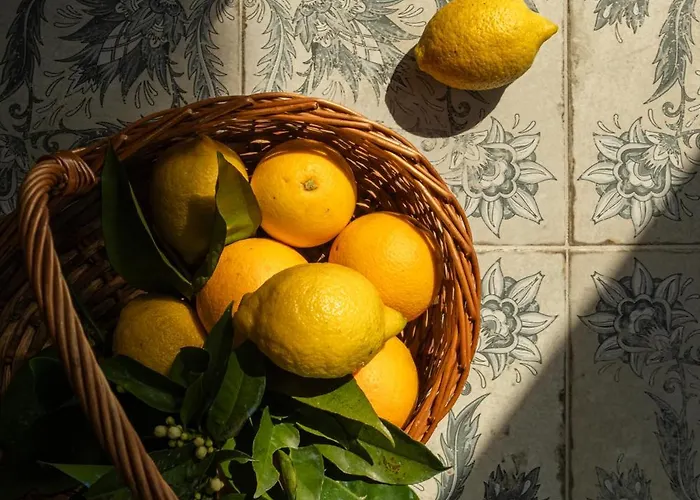 Vinte-quinta Da Boavista